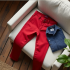 Nantucket Red Classic Chinos